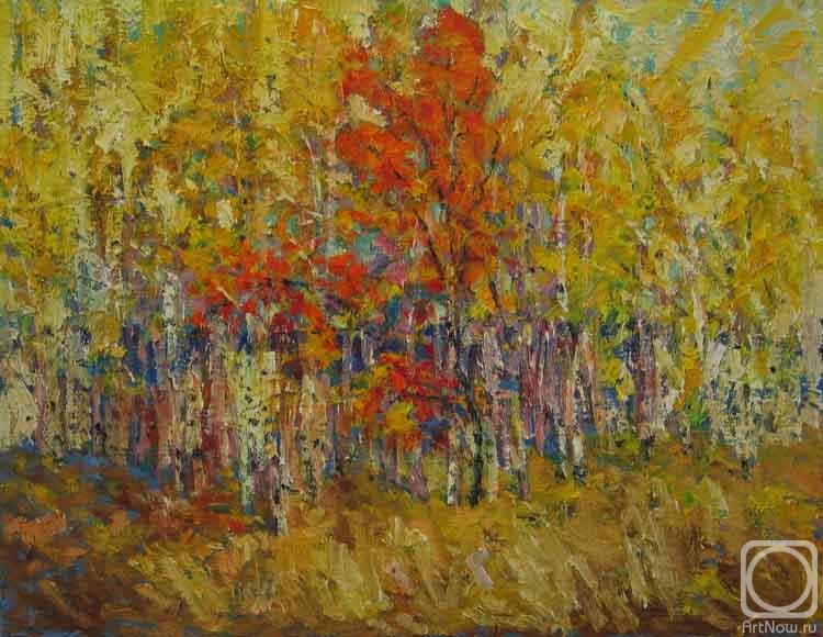 ������� ������ �� ������. ����� ���������. Before fall of the leaves