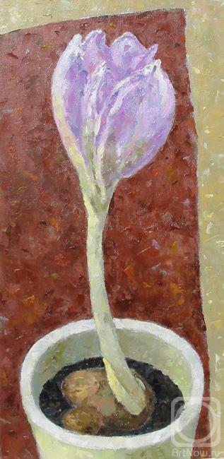 ������� ������ �� ������. ������������ ������. ������������