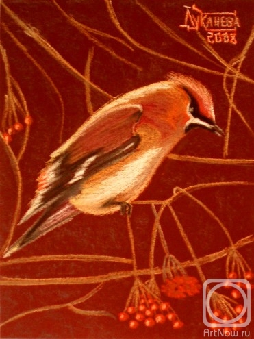 �������. �������� ������. �� �����