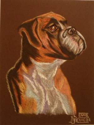 �����. �������� ������