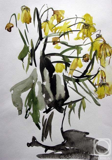 �������. �������� ��������. ����� ������