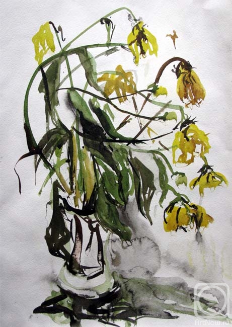 �������. �������� ��������. ����� ������