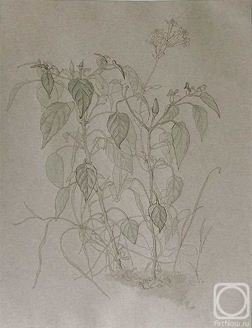 �������. ������ ����. ���������