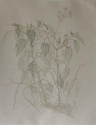 ������� ����������