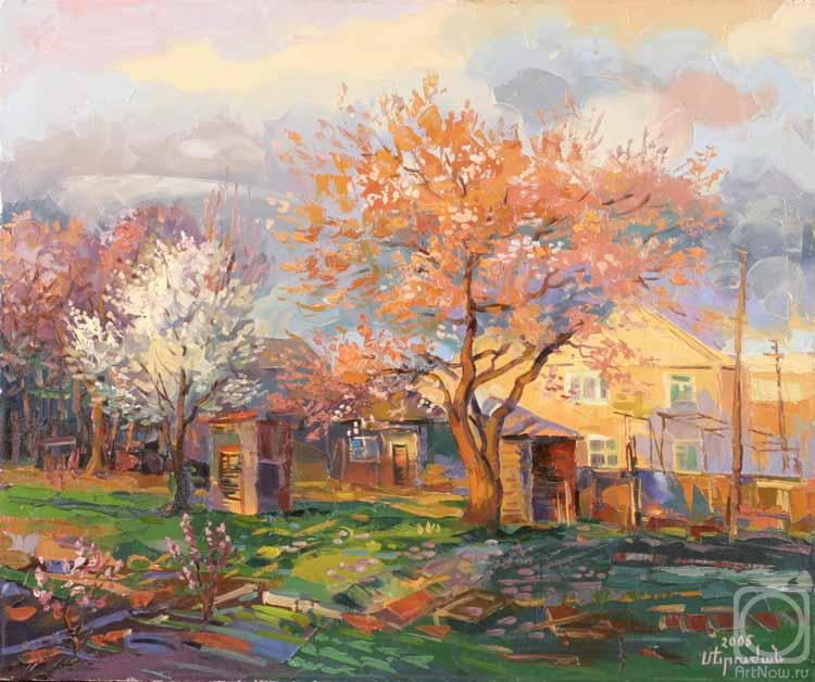 Khachatryan Meruzhan. Spring evening with a blossoming apricot