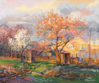 Spring evening with a blossoming apricot. Khachatryan Meruzhan