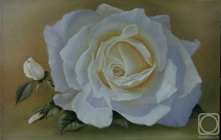 ������� ������ �� ������. ������� ����. ��������