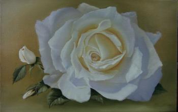 ������� ����������