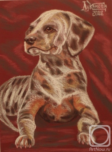 �������. �������� ������. ��� ������