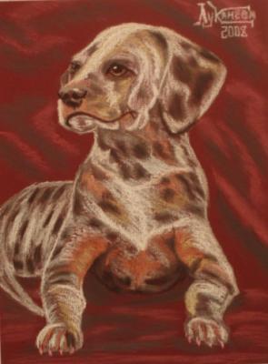 ������� ���� ������