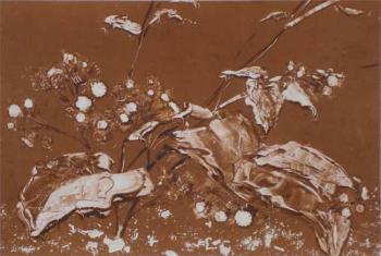 ������� ���������