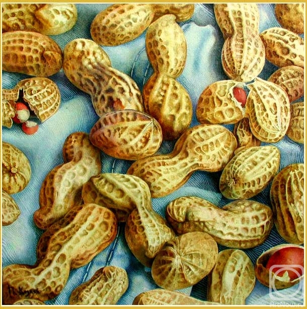 ������� ������ �� ������. ������ ϸ��. ������