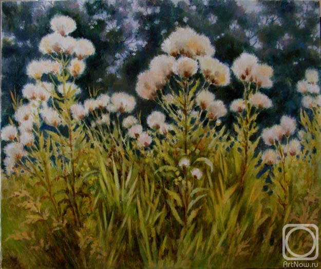 ������� ������ �� ������. �������� �����. ����� �������