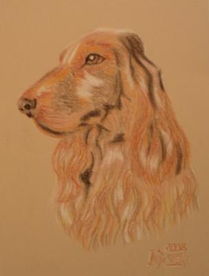 ���������� ������-�������� (���������� ��������). �������� ������