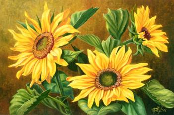 Sunflowers. Samarskaya Helena