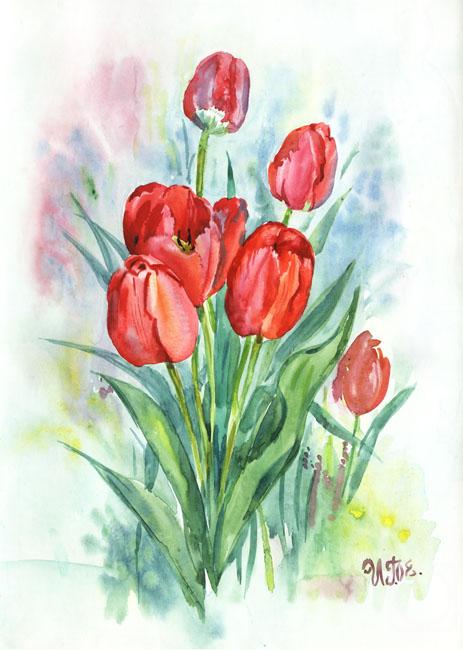 Green Irina. Red tulips