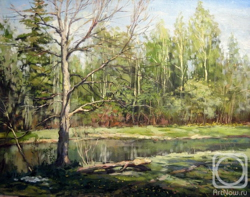 ������� ������ �� ������. ������ �������. �����