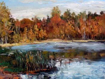 Lake. Emelin Valeriy