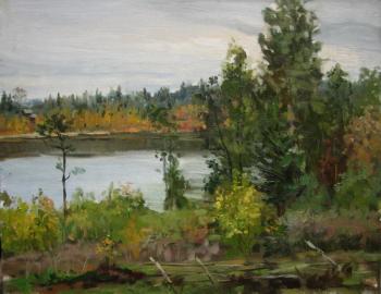 Tolmachevo (etude). Emelin Valeriy