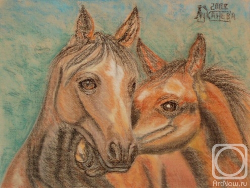 �������. �������� ������. ������