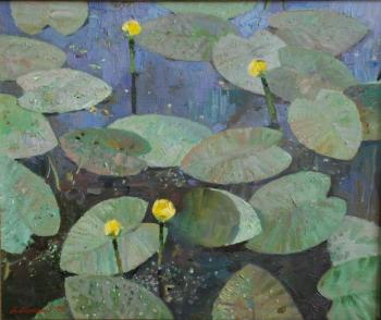 ������� ���������