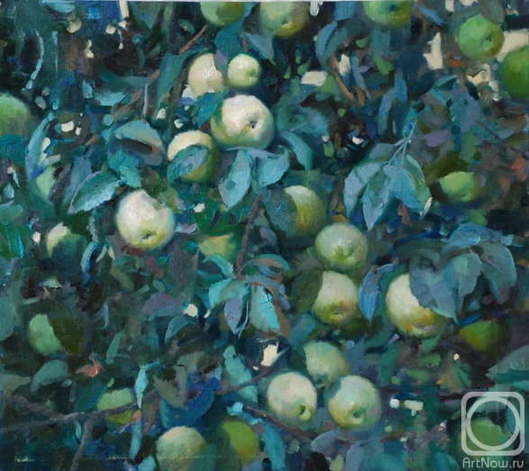 ������� ������ �� ������. ������� �����. ������ ������