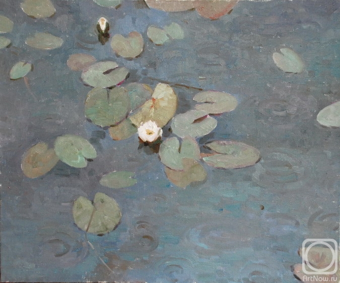 ������� ������ �� ������. ������� �����. �����