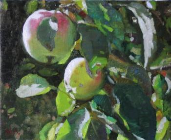 ������� �� ����