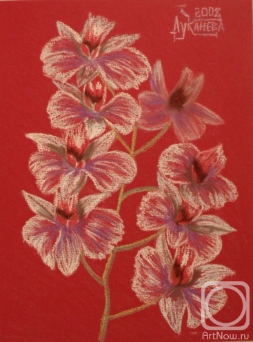 Lukaneva Larissa. Bunch of Orchids