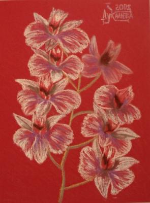 ������� ������ �������