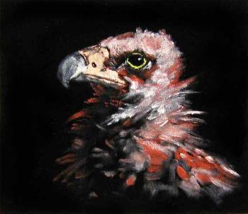Eagle. Peschanaia Olga