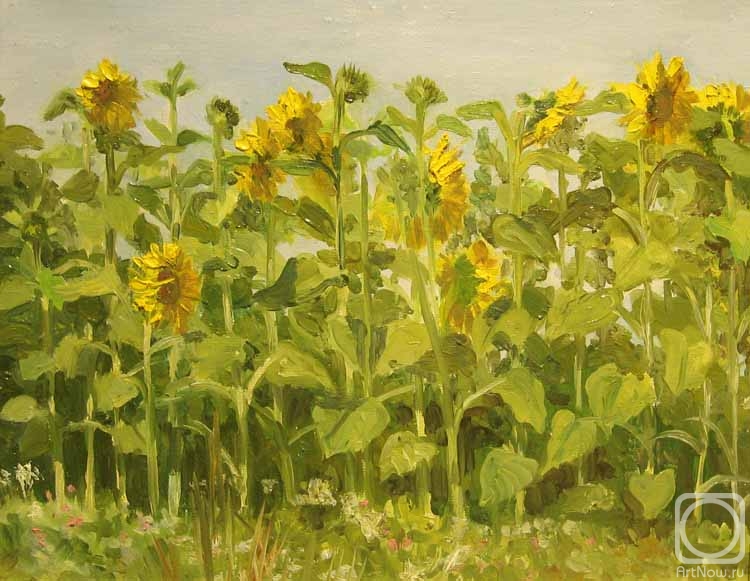 Krasnova Nina. Sunflowers