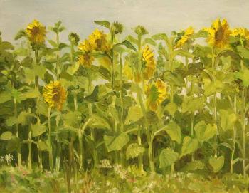 Sunflowers. Krasnova Nina