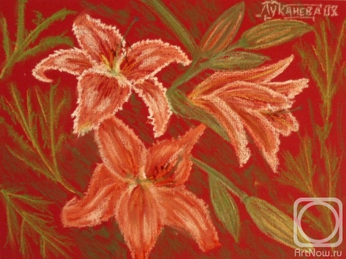 �������. �������� ������. ����������