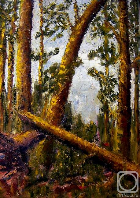 Zhadko Grigory. Untitled