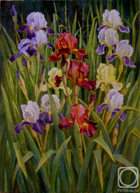 ������� ������ �� ������. �������� �����. �����