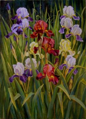 Irises. Shumakova Elena