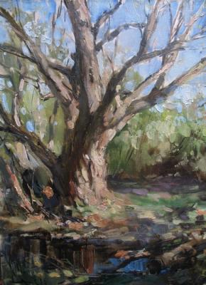 ���. ��������. ������ �������