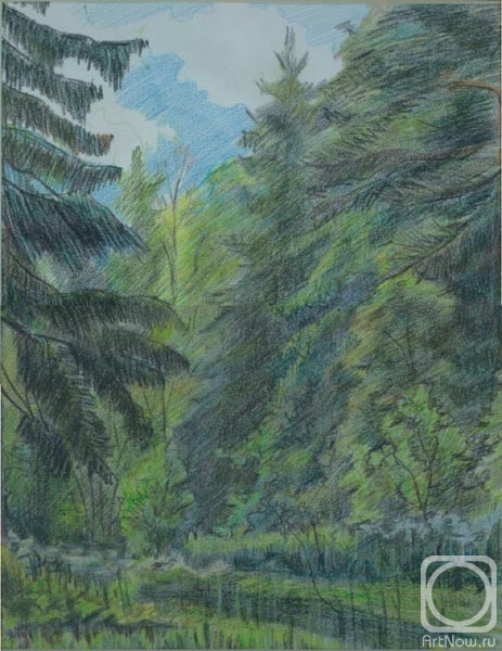 �������. ������� �����. ������ ����