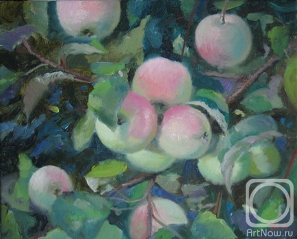 ������� ������ �� ������. ������� �����. �������� ������