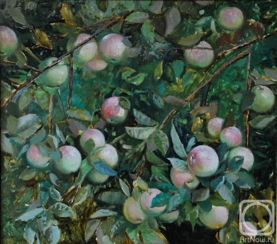 ������� ������ �� ������. ������� �����. ������ � ���� ����