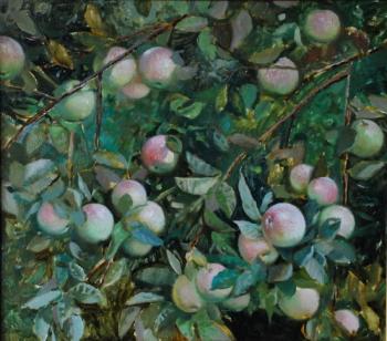 ������� ������� � ���� ����