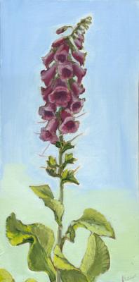 ������ ������. �����������. ������ �������