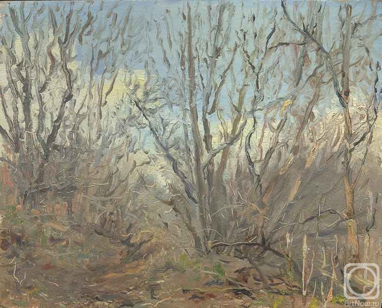 �������. ������ �����. �����. �������� (����)