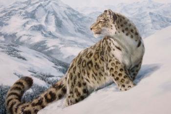 Leopard. Danchurova Tatyana