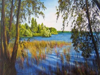 ������� �116 ����������