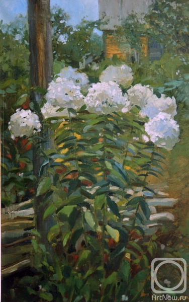 ������� ������ �� ������. ������� �����. ������