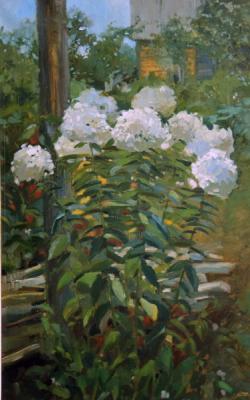 ������� ��������