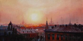 St. Petersburg roofs. Kulikov Vladimir