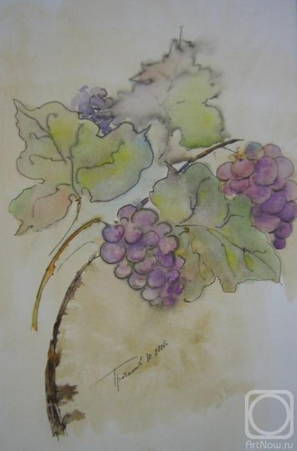 �������. �������� ����. ��������